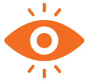 Vision